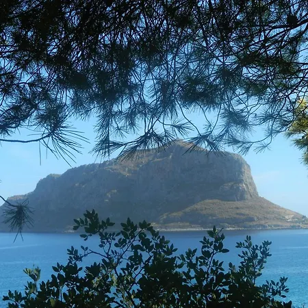 The Flower Of Otel 3*