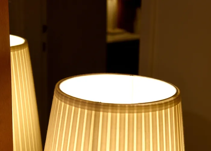 The Flower Of 호텔 모넴바시아