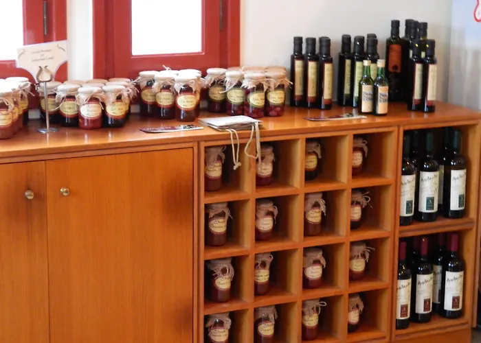 The Flower Of 호텔 모넴바시아