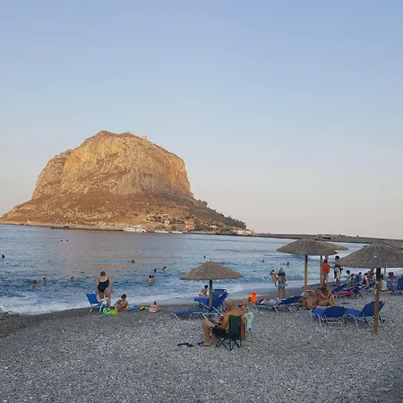 The Flower Of מלון