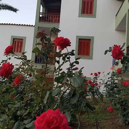 The Flower Of Hotel