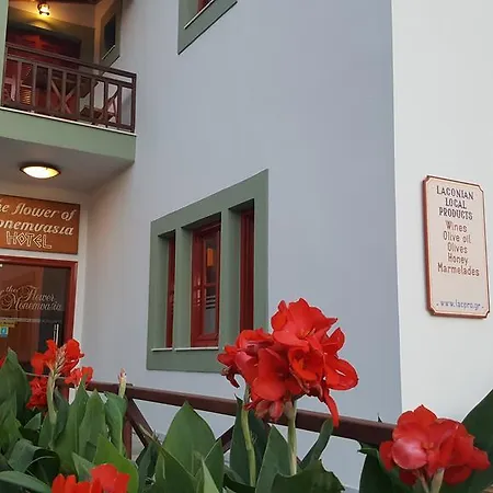 The Flower Of Hotel 3*
