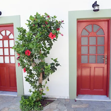 The Flower Of 3* Monemvasia