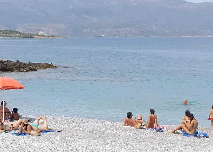 The Flower Of Szálloda