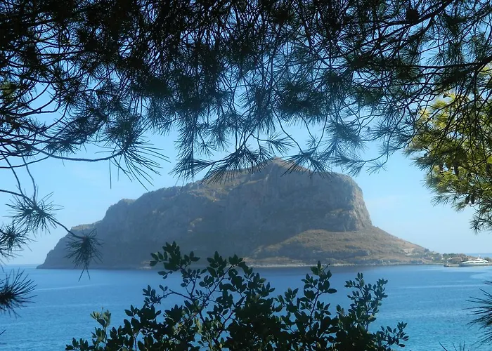 The Flower Of Szálloda 3*